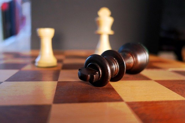 Training Methods Used in Modern Chess Programs